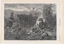 The Last Days of Harvest (Harper's Weekly, Vol. XVII), December 6, 1873. Creator: Unknown