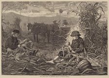 The Last Days of Harvest, published 1873. Creator: Winslow Homer