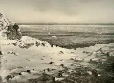 The Last of the Penguins Just Before Their Migration in March c1908, (1909)