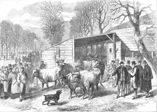 The last oxen in Paris (sketch by balloon post), 1871. Creator: Unknown