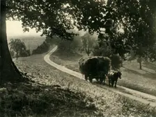 The Last Load 1936. Creator: Unknown