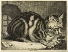 The Large Cat, 1657. Creator: Cornelis de Visscher