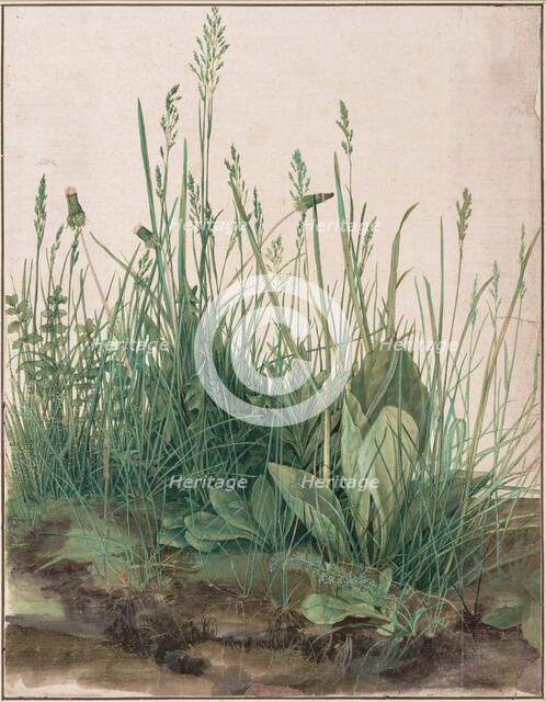 The Large Piece of Turf, 1503. Artist: Dürer, Albrecht (1471-1528)