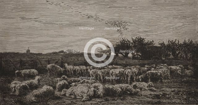 The Large Sheep-Fold, 1860. Creator: Charles François Daubigny (French, 1817-1878); Cadart.