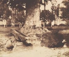 [The Large Tree at La Verrerie, Romesnil], ca. 1852. Creator: Louis-Rémy Robert