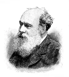 The late Mr. A. D. Fripp, 1895. Creator: P Naumann