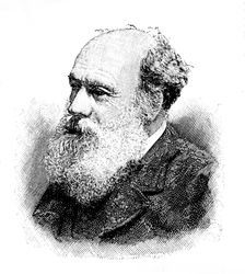 The late Mr. A. D. Fripp, 1895. Creator: P Naumann