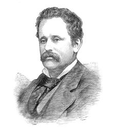 The late Mr. C. Robinson, artist, 1881. Creator: Unknown