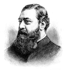 The late Rev. Samuel Flood Jones, 1895. Creator: P Naumann