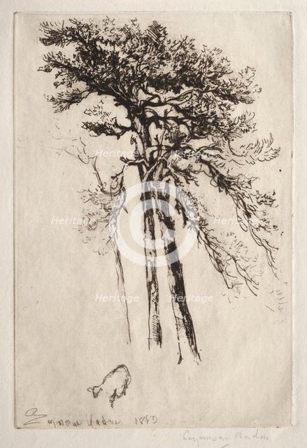 The Latest Tree, 1882. Creator: Francis Seymour Haden (British, 1818-1910).