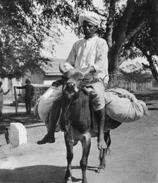 The laundry man, India, late 19th or early 20th century. Artist: Cavanders Ltd
