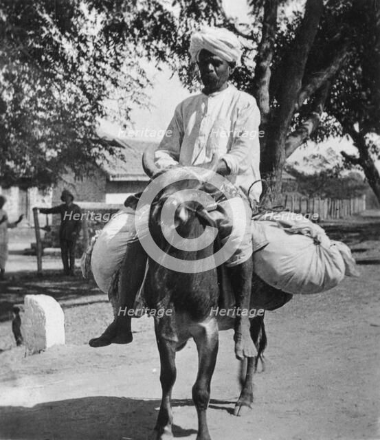The laundry man, India, late 19th or early 20th century.  Artist: Cavanders Ltd