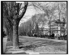 The Laurel House, Lakewood, N.J., c1901. Creator: William H. Jackson