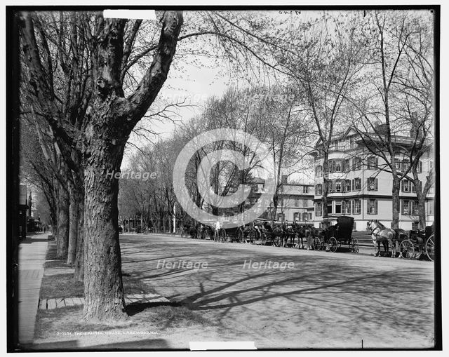 The Laurel House, Lakewood, N.J., c1901. Creator: William H. Jackson.