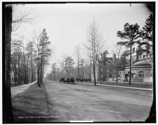 The Laurel in the Pines, Lakewood, N.J., c1901. Creator: William H. Jackson