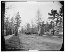 The Laurel in the Pines, Lakewood, N.J., c1901. Creator: William H. Jackson
