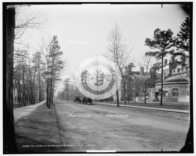 The Laurel in the Pines, Lakewood, N.J., c1901. Creator: William H. Jackson.