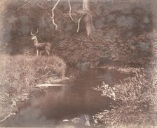 The Lewitha, 1853-56. Creator: John Dillwyn Llewelyn