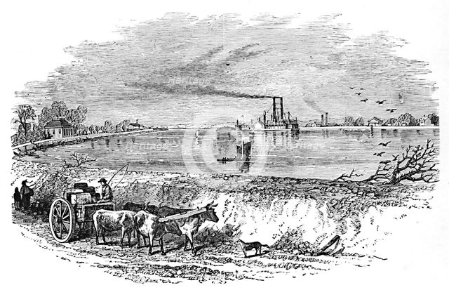 'The Levee', 1883. Artist: Unknown.