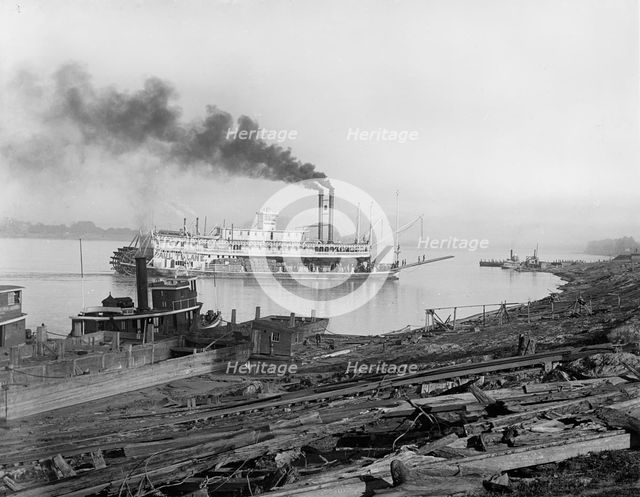 The Levee, Baton Rouge, La., c.between 1910 and 1920. Creator: Unknown.