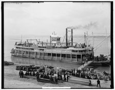 The Levee, Louisville, Ky., between 1900 and 1907. Creator: Unknown