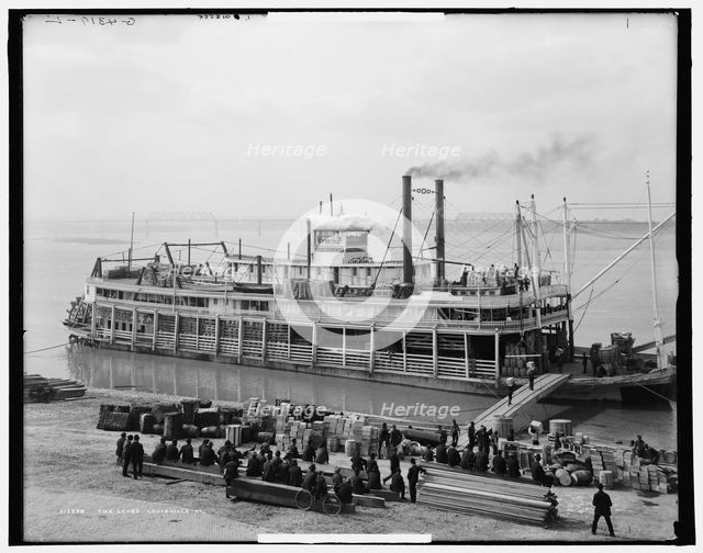 The Levee, Louisville, Ky., between 1900 and 1907. Creator: Unknown.