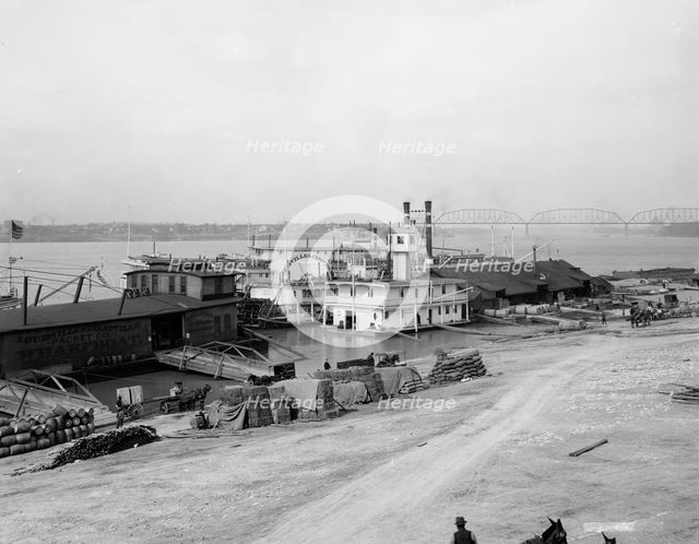 The Levee, Louisville, Ky., c.between 1900 and 1910. Creator: Unknown.