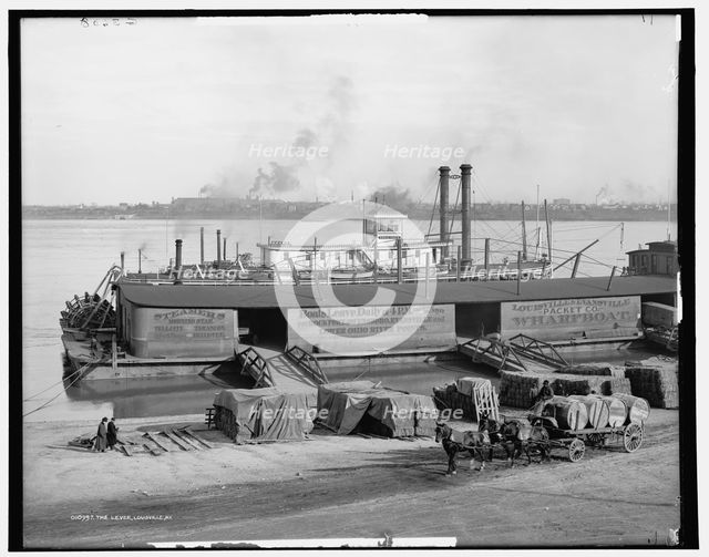 The Levee, Lousiville [sic], Ky., c.between 1900 and 1906. Creator: Unknown.