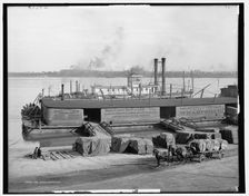 The Levee, Lousiville [sic], Ky., c.between 1900 and 1906. Creator: Unknown