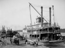 The Levee, Vicksburg, Miss., between 1900 and 1920. Creator: Unknown