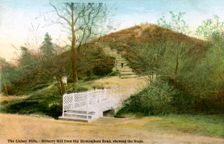 The Lickey Hills, 20th Century