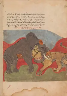 The Lion and the Elephant Fighting, Folio from a Kalila wa Dimna, 18th century. Creator: Unknown