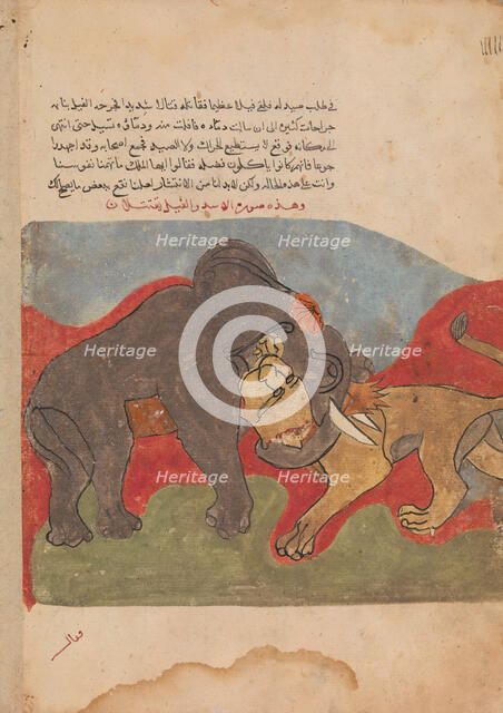 The Lion and the Elephant Fighting, Folio from a Kalila wa Dimna, 18th century. Creator: Unknown.