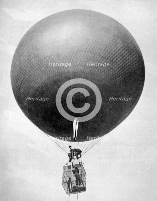 The lion aeronauts, 1903. Artist: Unknown