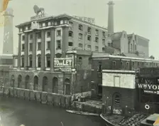 The Lion Brewery, Belvedere Road, Lambeth, London, 1928