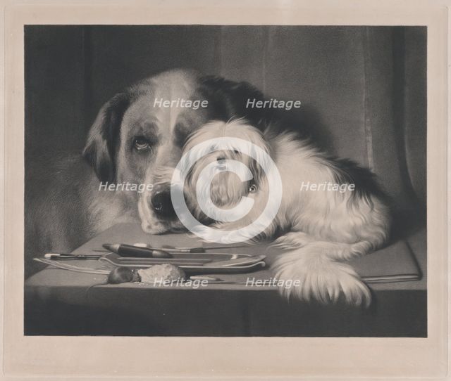 The Lion-Dog of Malta--The Last of His Tribe, 1844. Creator: Thomas Landseer.