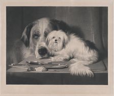 The Lion-Dog of Malta--The Last of His Tribe, 1844. Creator: Thomas Landseer