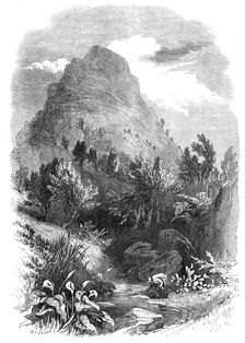The Lion's Head Mountain, near Capetown, Cape of Good Hope, 1868. Creator: Unknown