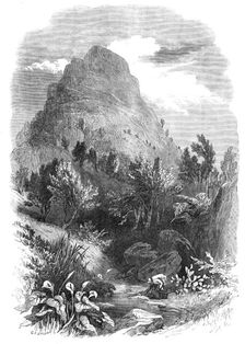 The Lion's Head Mountain, near Capetown, Cape of Good Hope, 1868. Creator: Unknown