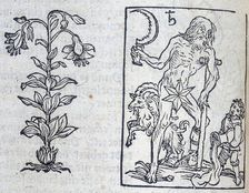 The lily and Saturn, 13th century. Creator: Unknown