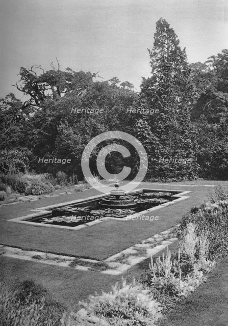 'The Lily Basin, The White Lodge, Richmond', 1926. Artist: Unknown.