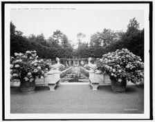 The Lily pond, Bellefontaine, home of Giraud Foster, Lenox, Mass., (c1908?). Creator: Unknown