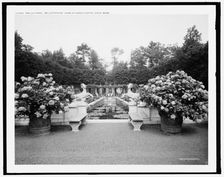 The Lily pond, Bellefontaine, home of Giraud Foster, Lenox, Mass., (c1908?). Creator: Unknown