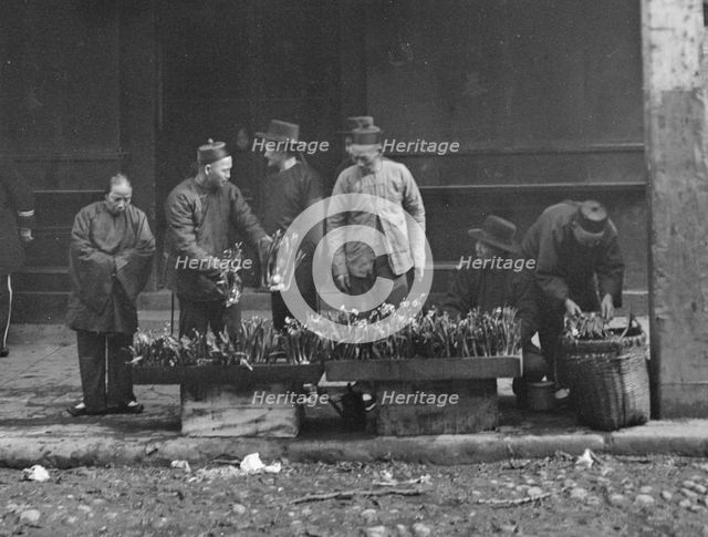 The lily vendor, Chinatown, San Francisco, between 1896 and 1906. Creator: Arnold Genthe.