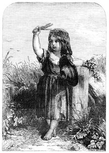 "The Little Scarecrow" - painted by T. Dicksee - from the Exhibition of the British Institution,1857 Creator: Harvey Orrin Smith