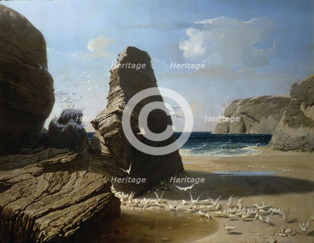 The Little Seagulls, 1858.