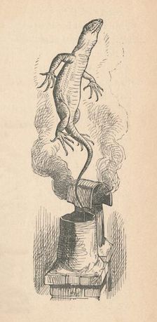 The Lizard 1889. Artist: John Tenniel