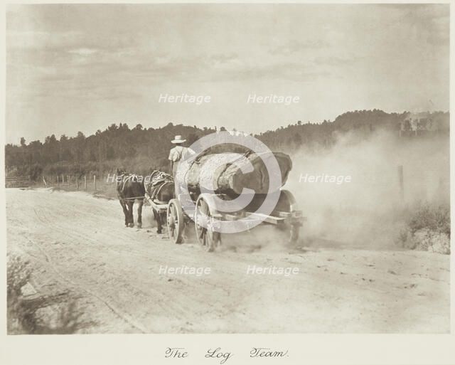 The log team. From the album: Camera Pictures of New Zealand, 1920s. Creator: Harry Moult.