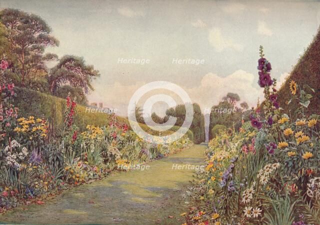 The Long Border, Holme Lacy, (1903). Creator: Ernest Arthur Rowe.