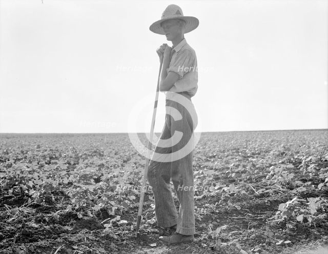 The long line of Texas, Near Dallas, 1936. Creator: Dorothea Lange.